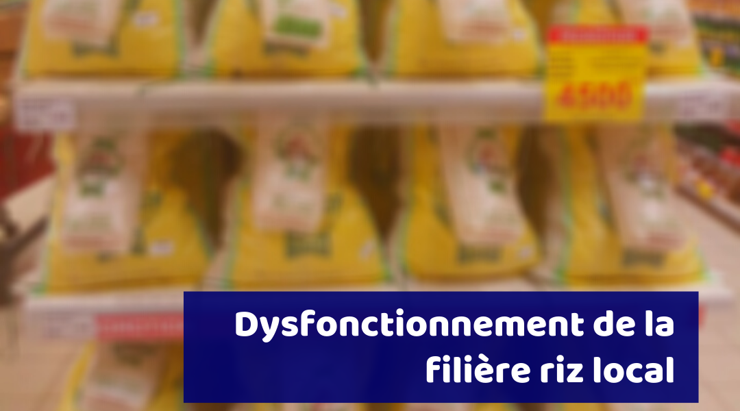 You are currently viewing Dysfonctionnement de la filière riz local